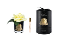 RMRB08 | *NEW* French Rose Yellow & Black Glass
