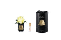 RMRB48 | *NEW* Rose bud Yellow & Black Glass