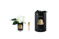 RMRB49 | *NEW* Rose bud Green & Black Glass