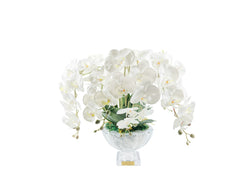 Centrepiece Orchides - White - CPO01