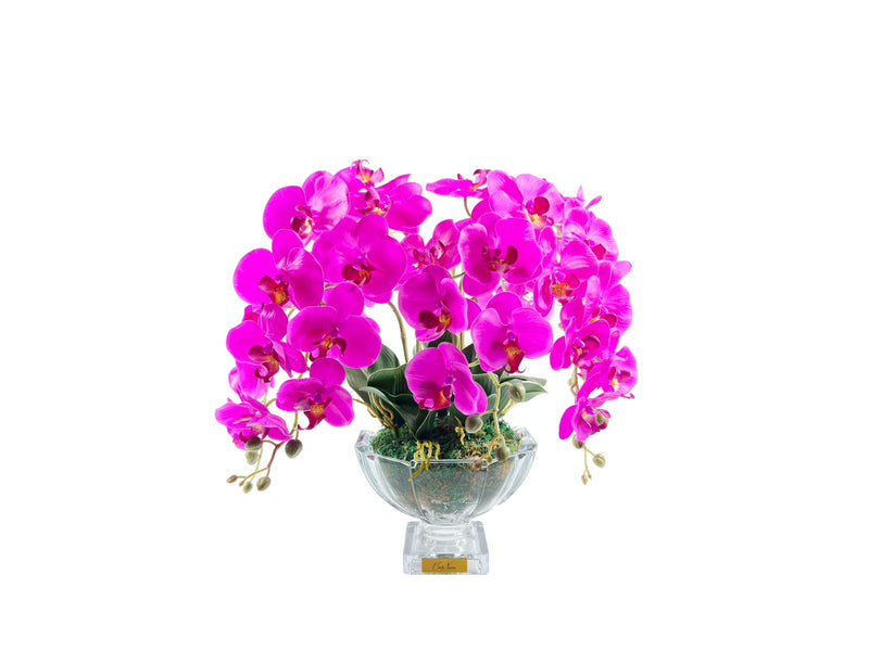 Centrepiecel Orchides - Fuchsia - CPO09