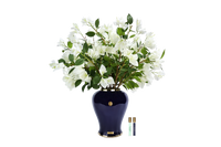 *NEW* Cote Noire - Imperial Bougainvillea - Indigo Urn with White - IMPB01
