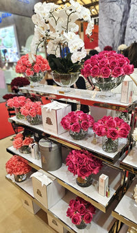 Centrepiece Orchides - White - CPO01