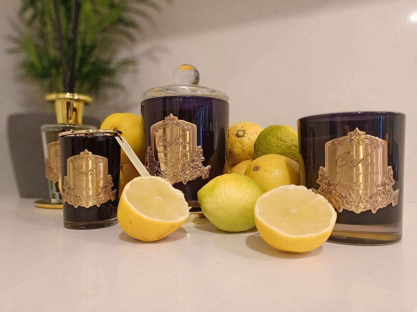 Persian Lime - Gold Badge Candles