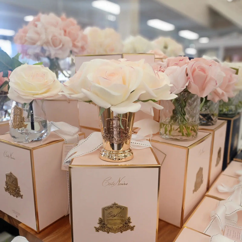 NEW - Cote Noire - Seven Rose Bouquet in Pink Blush Pink Box GOLD Vase - SMB20