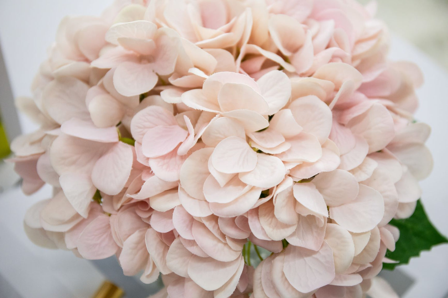 Cote Noire - Luxury Range Hydrangea's - Blush - Crystal Vase - LHY03