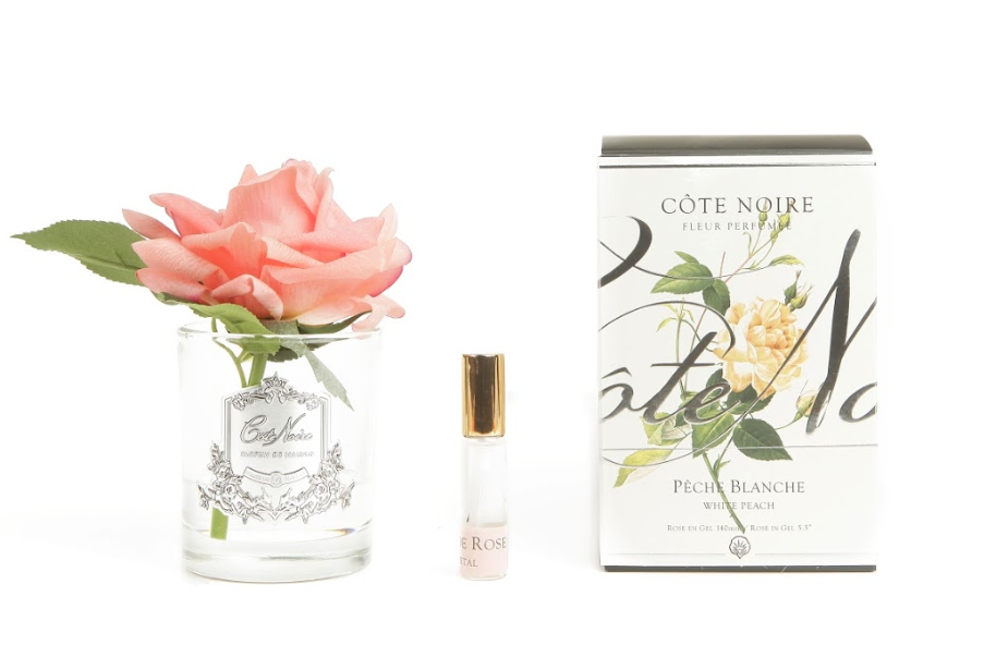 Cote Noire Perfumed Natural Touch Single Rose - Clear - White Peach - GMR05