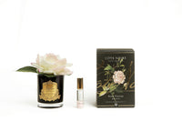 Cote Noire Perfumed Natural Touch Single Rose - Black - Pink Blush - GMRB02