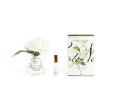 Cote Noire Perfumed Natural Touch Single Rose - Clear - Ivory White - GMR01