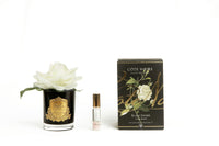 Cote Noire Perfumed Natural Touch Single Rose - Black - Ivory White - GMRB01