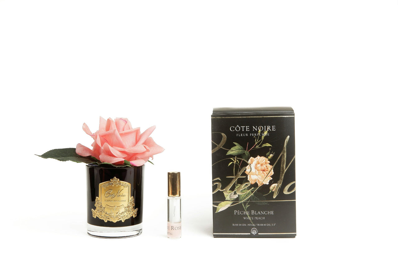 Cote Noire Perfumed Natural Touch Single Rose - Black - White Peach - GMRB05